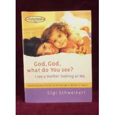 God, God, What do You See? - Gigi Schweikert